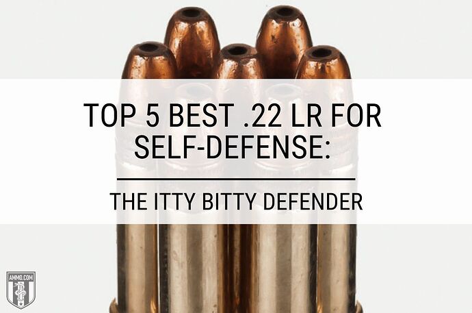 best-22-lr-ammo-for-self-defense-hero-image